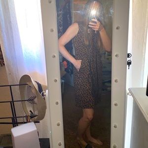 Leopard mini dress long enough for office 4-6